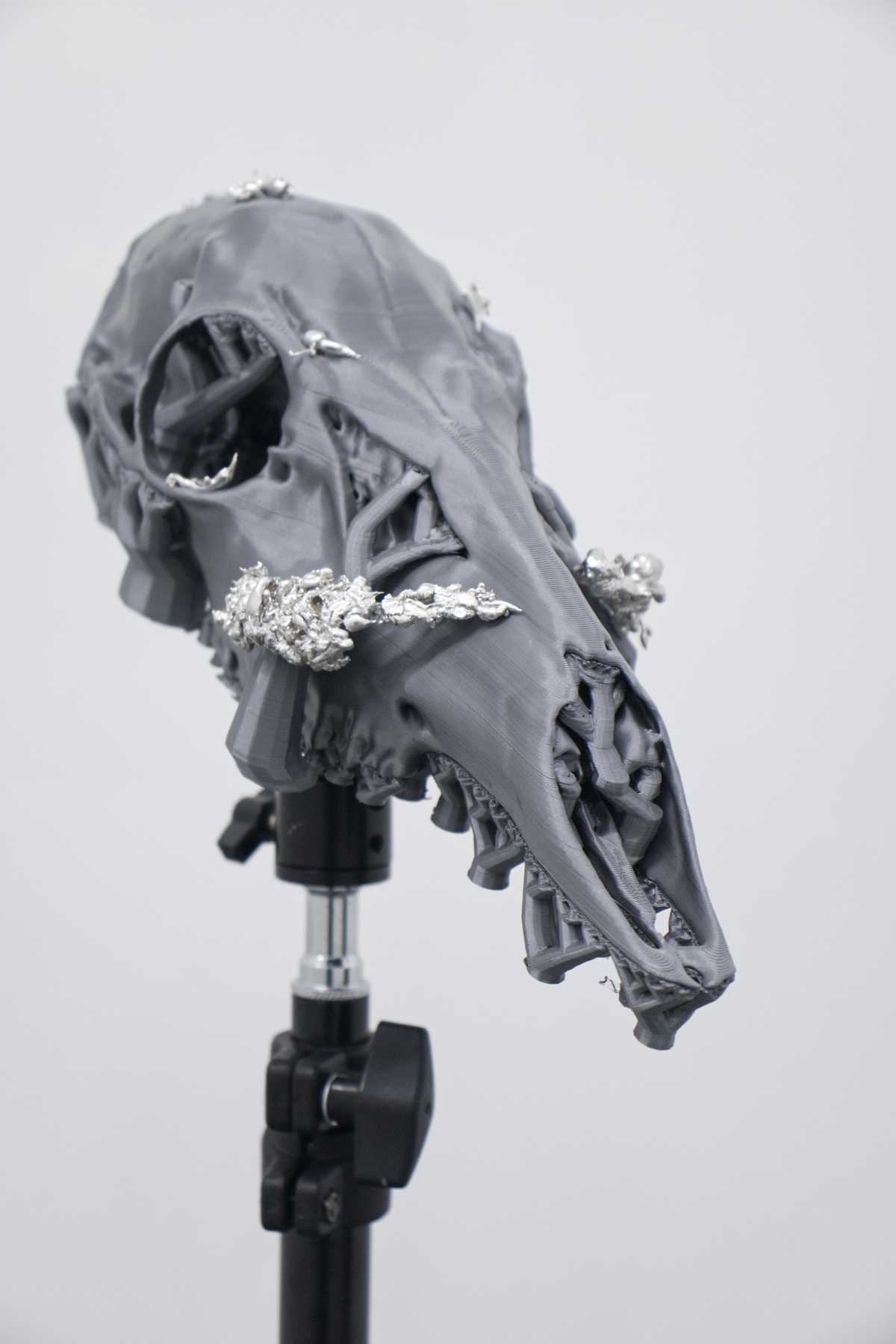 bridled deer in silver (...out a chariot) - Additional image 1